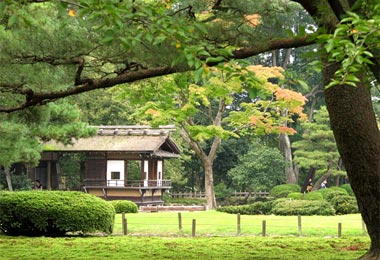 Nét đẹp quyến rũ của vườn Nhật