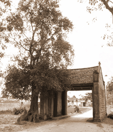 Xoay nhịp thời gian cánh cổng làng