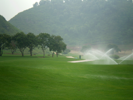 Dự án sân golf.