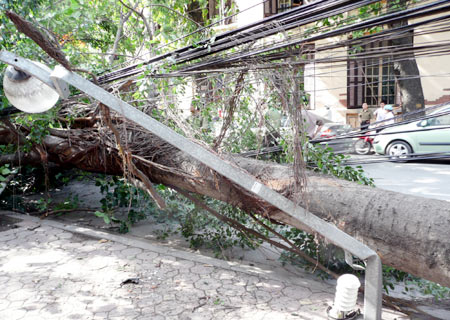 Ảnh minh họa