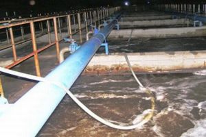 tp.hcm: giám đốc sở tnmt bị truy vụ chôn thải độc