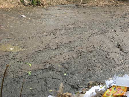 chuyện lạ: kênh hà nội ... bốc cháy