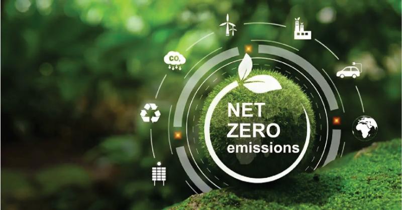 Thiết kế bền vững, hướng đến Net Zero