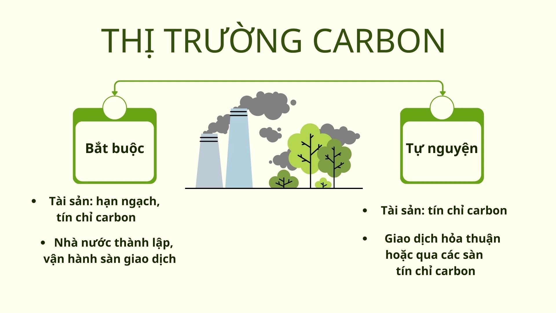 phân loại thị trường Carbon
