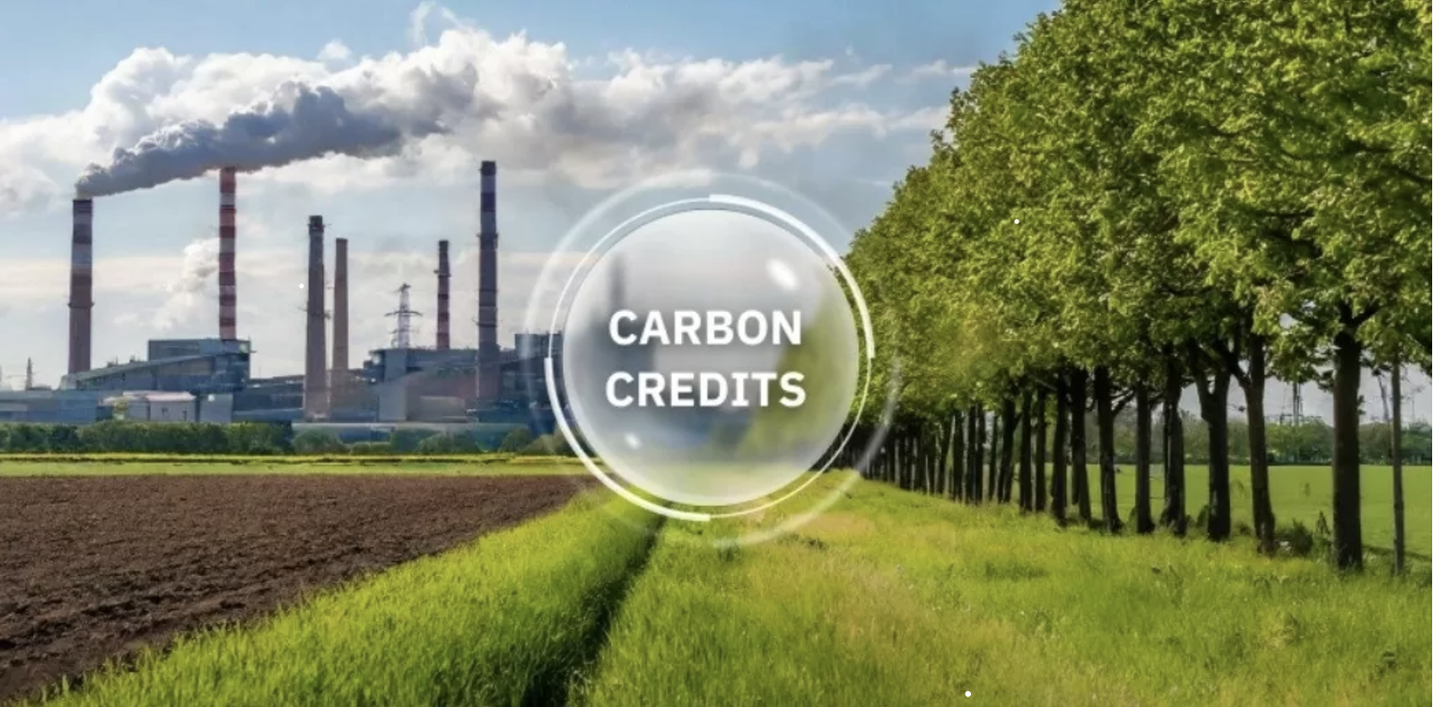 thị trường Carbon là gì