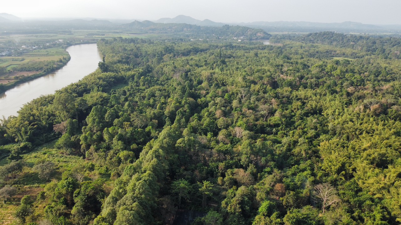 thị trường Carbon toàncầu