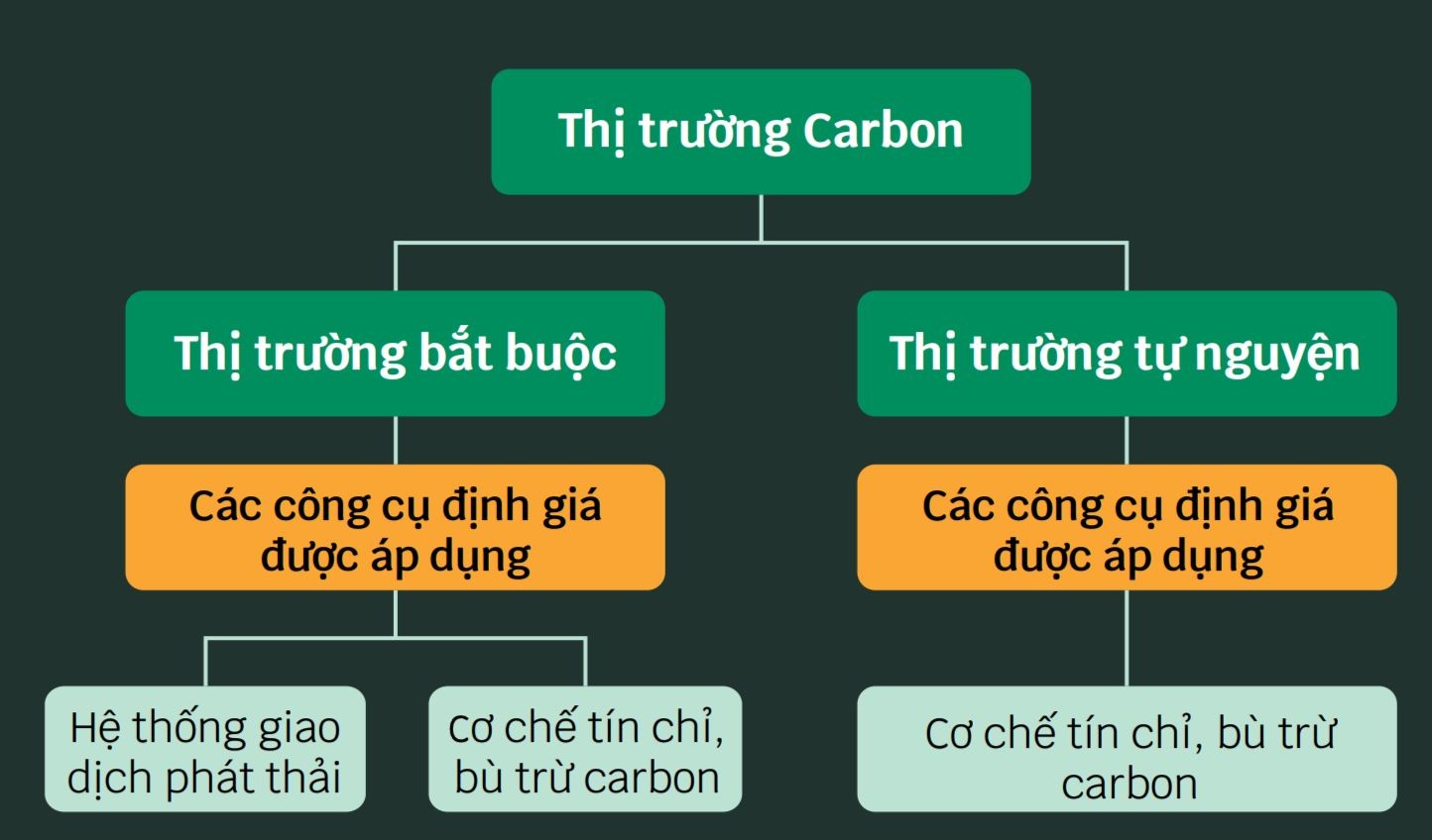 phân loại Thị trường Tín chỉ carbon
