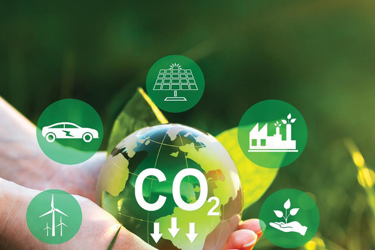 Cách nào để được cấp tín chỉ carbon