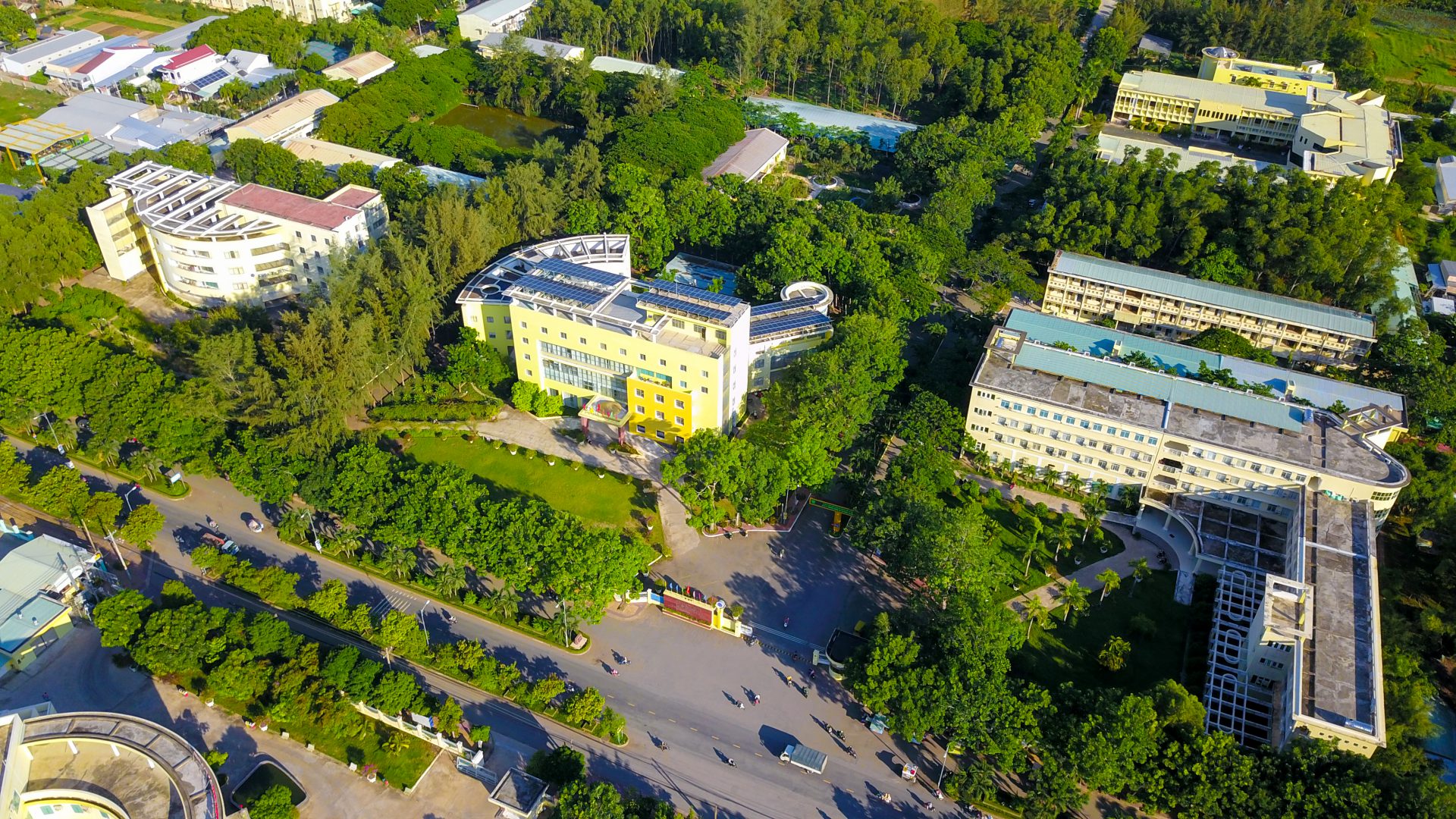 khuôn viên xanh