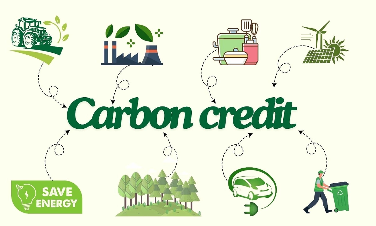 tín chỉ carbon