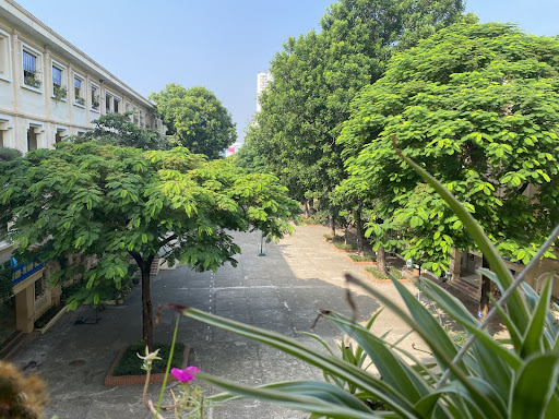 mô hình trường học xanh