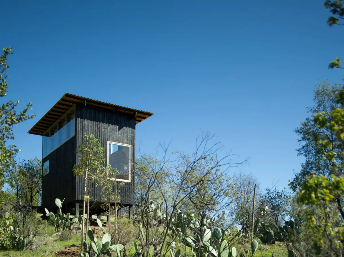 ngôi nhà nhỏ nhất thế giới Charred Cabin