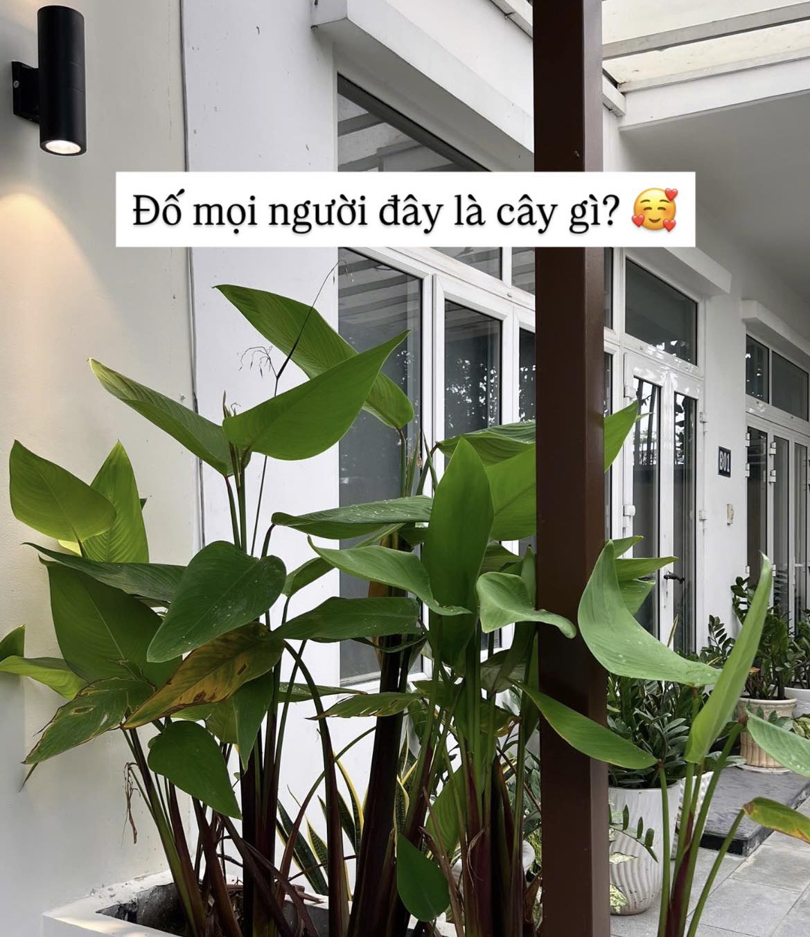 nhà Trinh Phạm