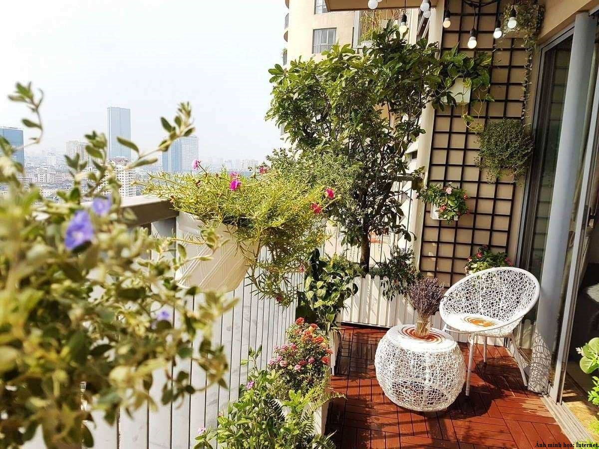 cây chịu nắng tốt để trồng ở ban công chung cư