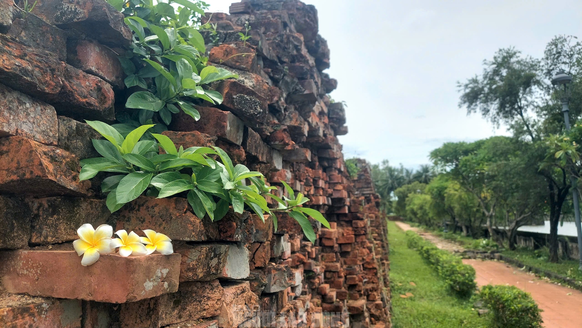 Thành cổ Quảng Trị