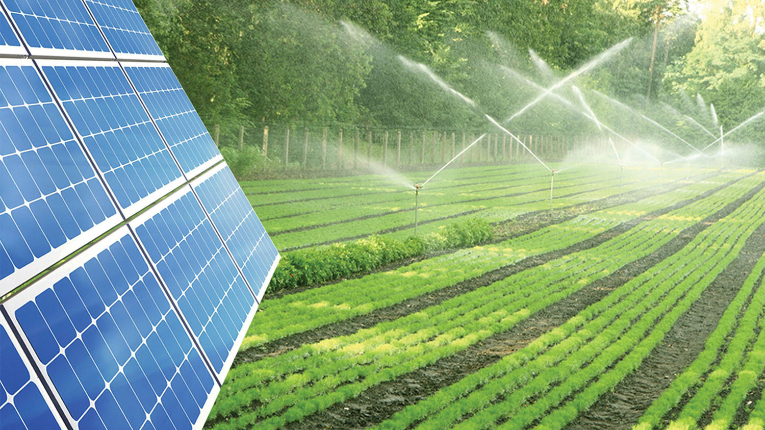 mô hình điện mặt trời nông nghiệp